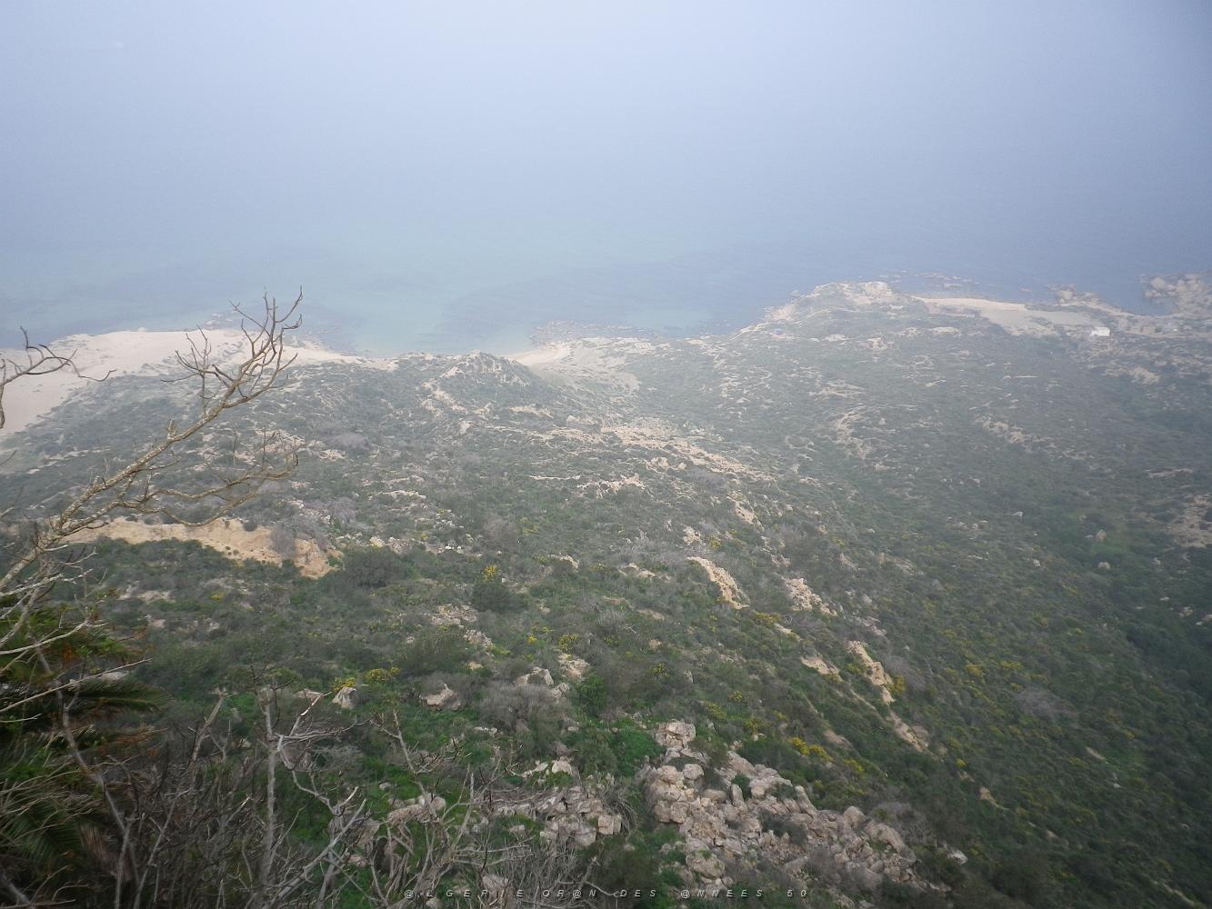 1967 une vue sur la mer derriere le casino, avec un peu de brume de chaleur.JPG